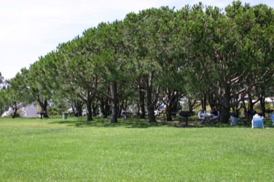 Location Scouting for Seriina's Weddnig