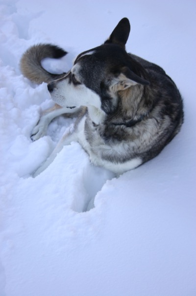 An introduction to snow