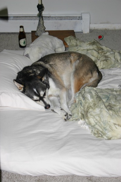 And you wonder why I try to roll up my futon?