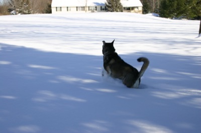 An afternoon walk for the mail