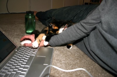 Crawling up for a cuddle