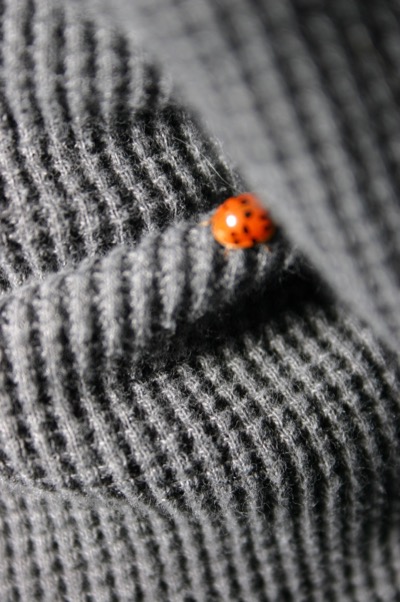 evidentally, I\'m the place to be in the living room