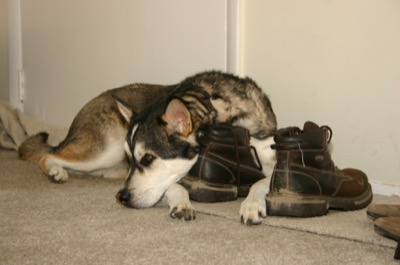 a beautiful thing happened on the way to the laundromat