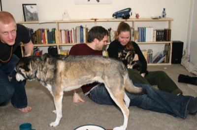 sure, <i>now</i> mirror lock-up works..