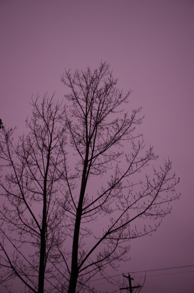 No color correction, that was the sunset.