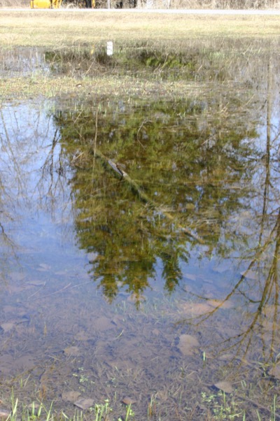 Montezuma wildlife preserve