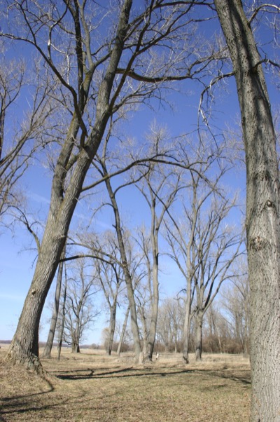 Montezuma wildlife preserve