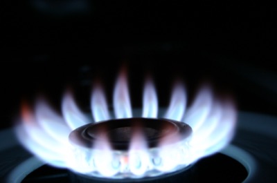 Flowers of a different kind