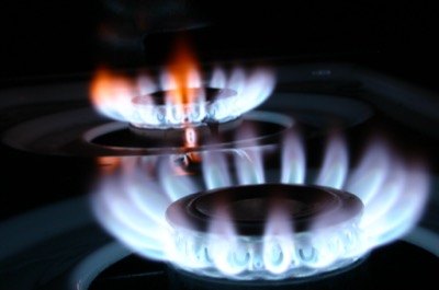 Flowers of a different kind