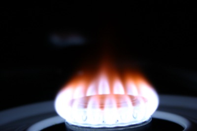 Flowers of a different kind