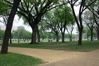The park after a rain