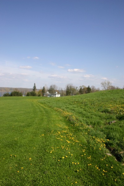Back to Sheldrake point, with grass
