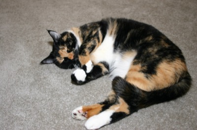 A perfect ithacan day