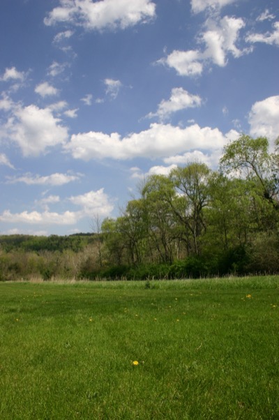 a day too perfect for pictures