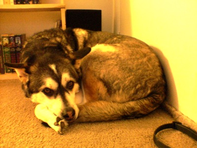 Evidentally, it was cold.