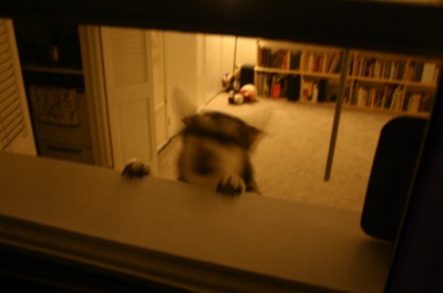 A momes, happy to see us