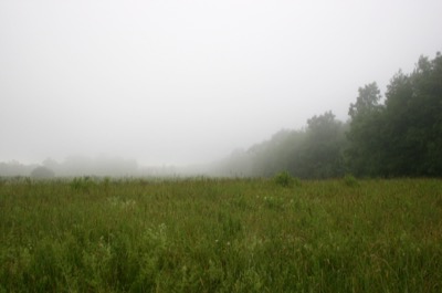 a day at the arboretum