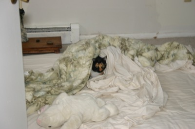 hiding from the door