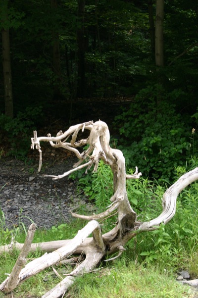 A driftwood mermaid