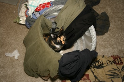 I leave the room for 10 seconds to get more hangars..