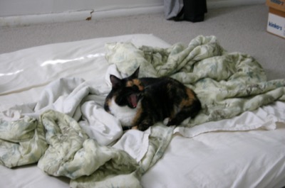 my (new) private paradise