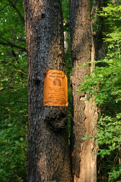 200 feet away. nice life, if you can get it.