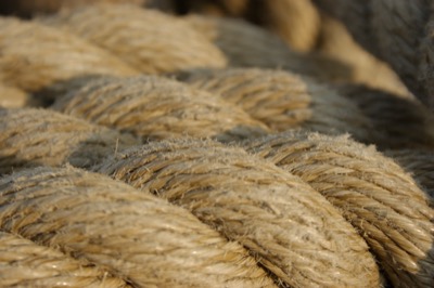 the blood of these boats