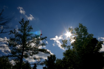 the best side of cornell