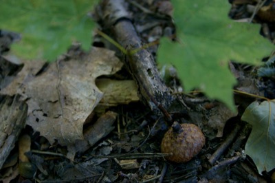 hoping for a warm winter