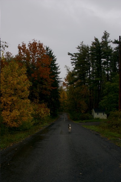 three days of rain, two days of drizzle