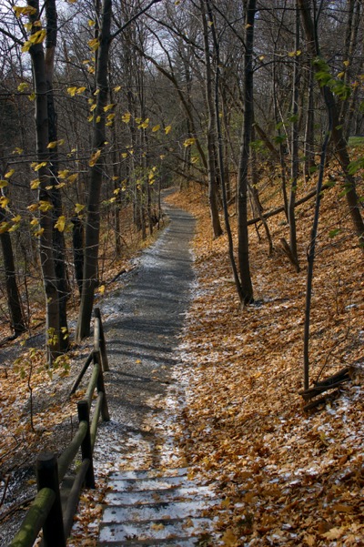 A path less-travelled