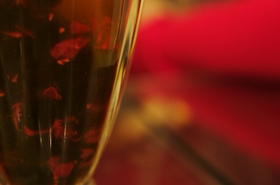 Orion, Maria, and NYC