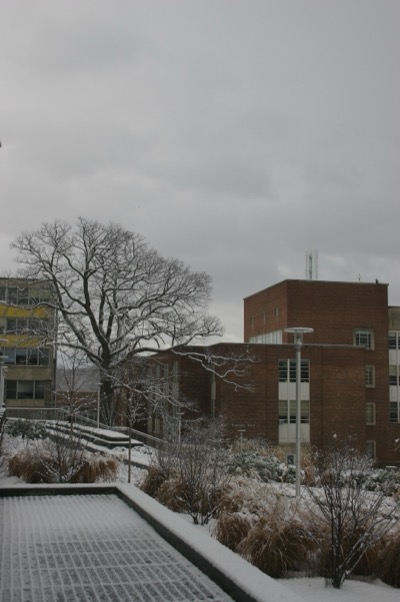 the engineering quad
