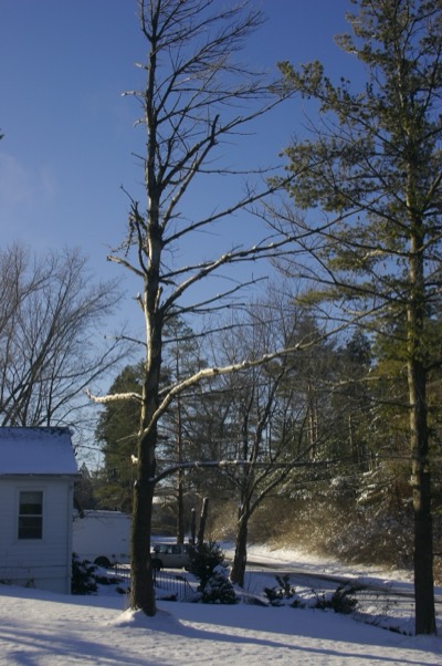 cold, clear winter days