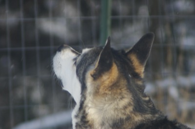 There\'s a squirrel!