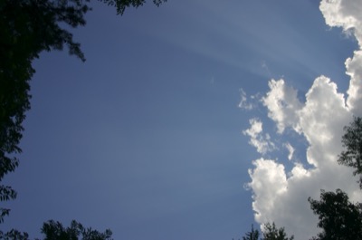 oh look, some new pictures